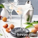Strawberry Lemonade Vodka Cocktail Recipe for Summer Sipping 9 Lychee Martini Cocktail