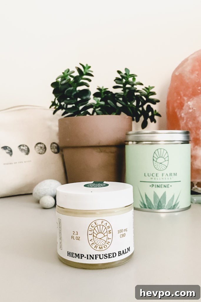 January Favorites: Top Finds and Trends This Month 3 img 8834 2