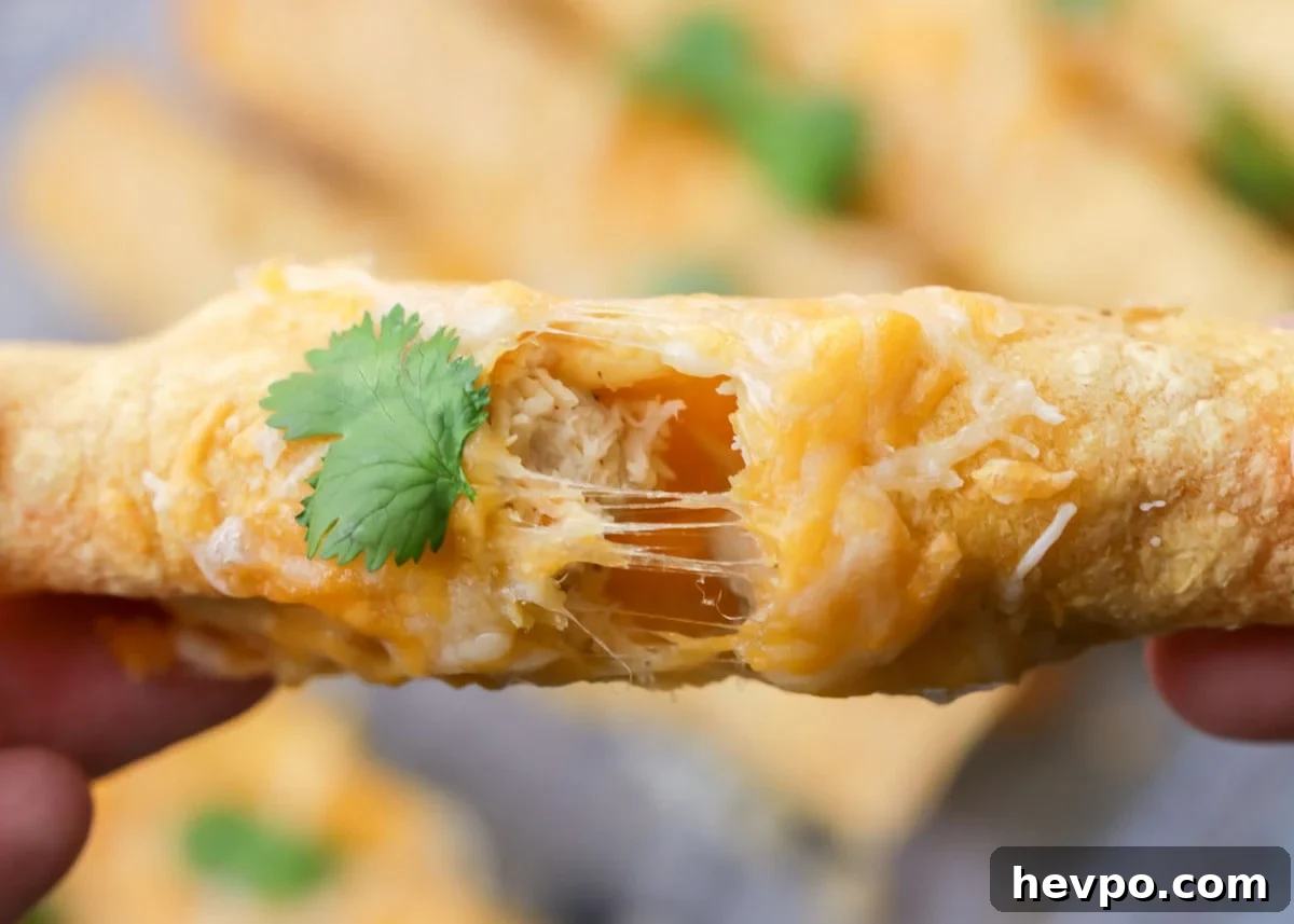 Oven Baked Tacos