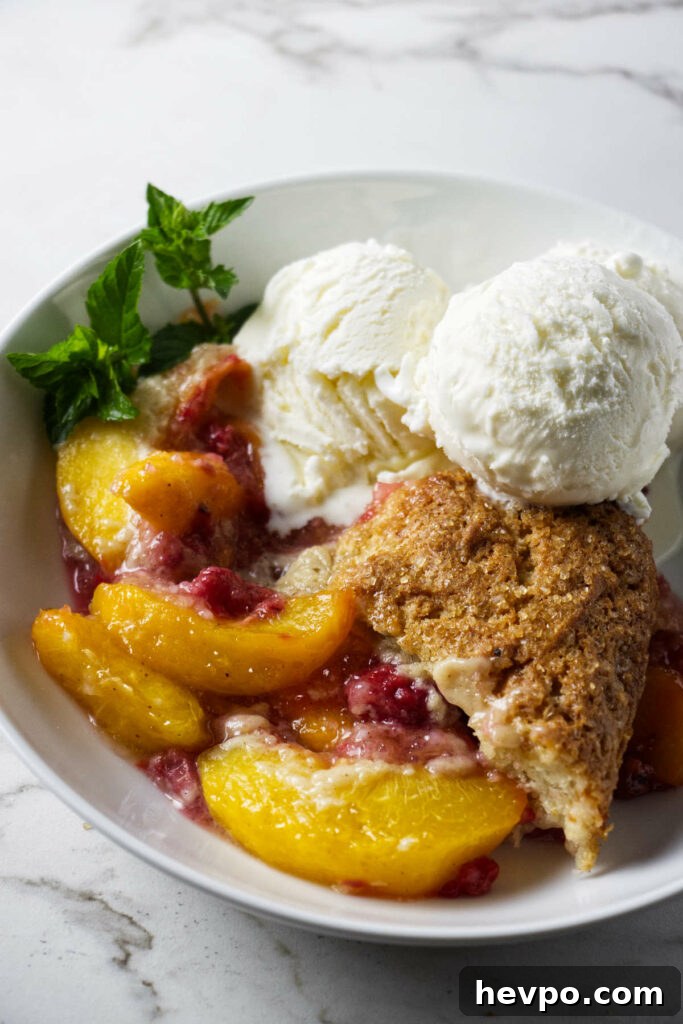 Raspberry and Peach Cobbler with Buttermilk Drop Biscuits 2 A serving of raspberry peach cobbler in a bowl with ice cream.