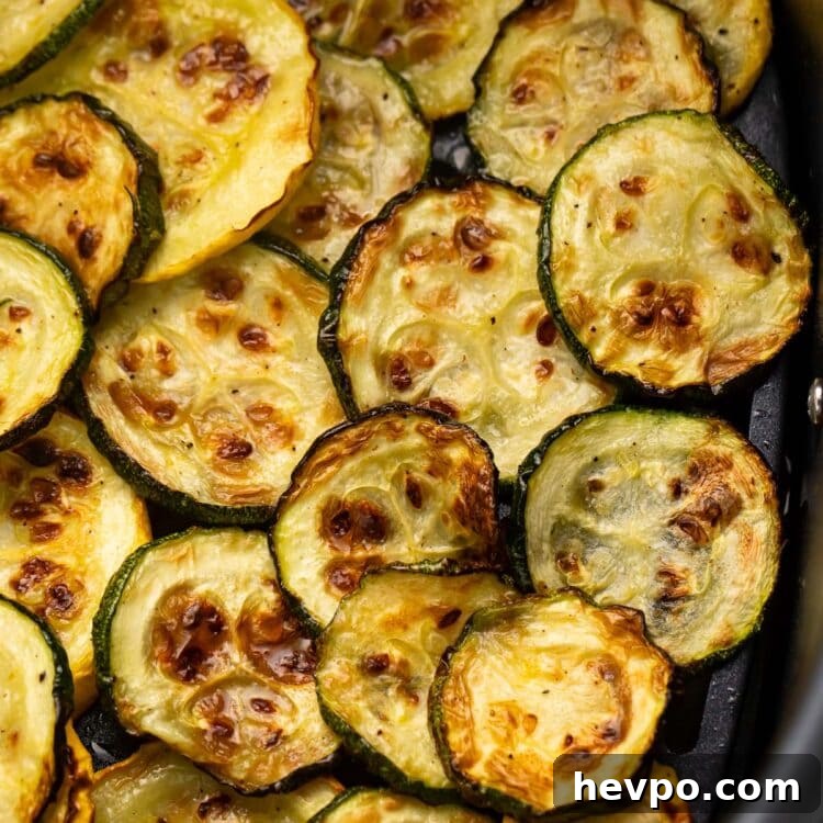 Crispy Air Fryer Squash Recipe — Quick Roasted Slices 4 Several discs of yellow and green squash in an air fryer basket.