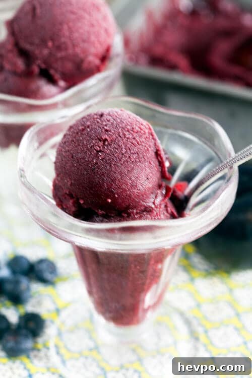Boozy Blueberry and Plum Sorbet Recipe for Summer Cocktails 2 Blueberry Plum Sorbet with Sour Beer