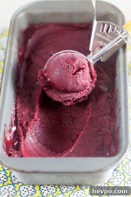 Boozy Blueberry and Plum Sorbet Recipe for Summer Cocktails 3 Blueberry Plum Sorbet with Sour Beer