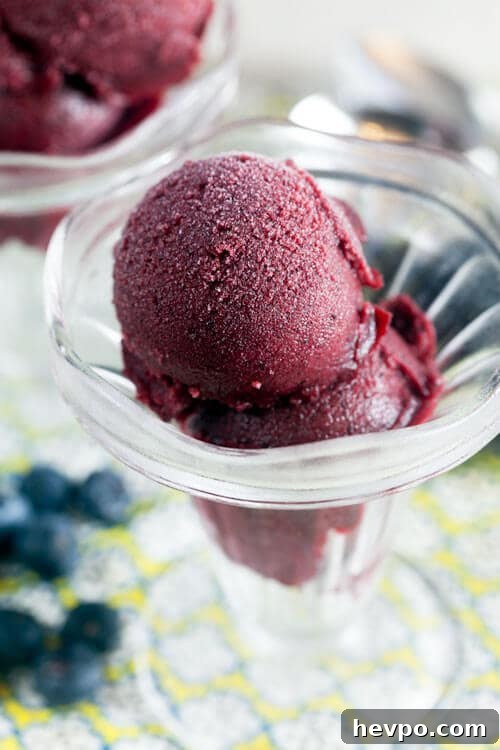 Boozy Blueberry and Plum Sorbet Recipe for Summer Cocktails 4 Blueberry Plum Sorbet with Sour Beer
