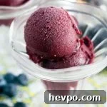 Boozy Blueberry and Plum Sorbet Recipe for Summer Cocktails 5 img 9678 4