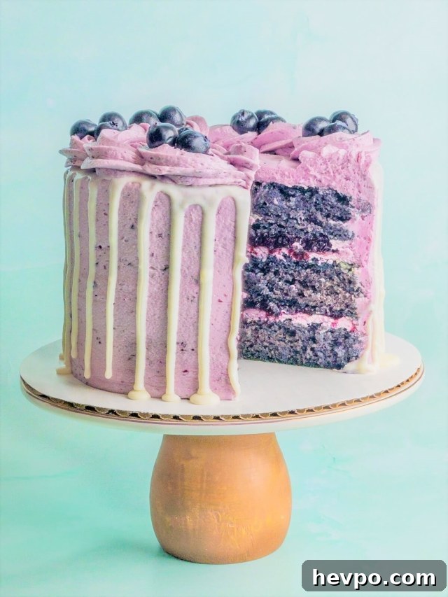 Fresh blueberry cake cut open with three layers of blueberry cake, blueberry filling, and blueberry buttercream.